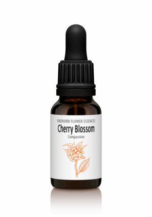 Cherry Blossom - COMPASSION