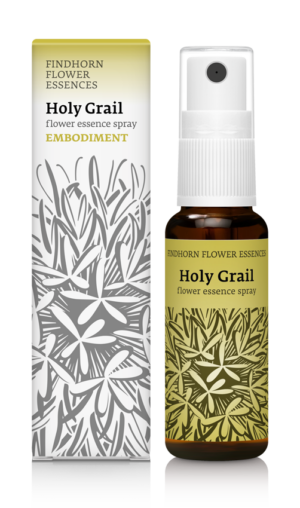 Holy Grail Combination Essence