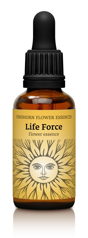 life force combination essence