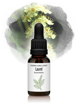 Laurel Flower Essence
