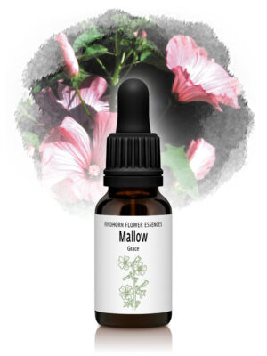 Mallow Flower Essence