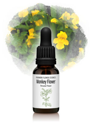 Monkey Flower Flower Essence