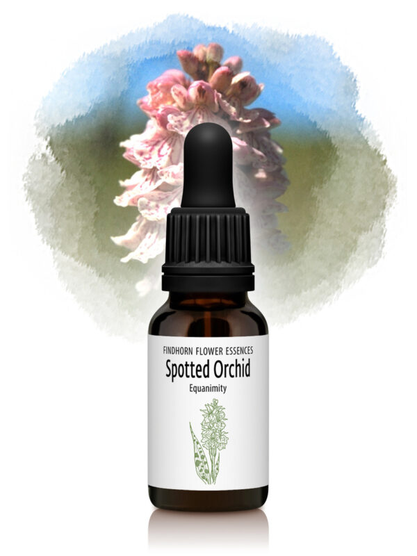 Spotted Orchid Flower Essence