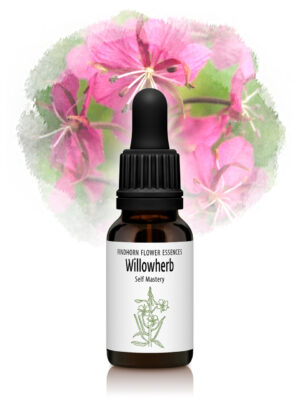 Willowherb Flower Essence