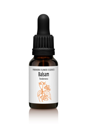 Balsam - TENDERNESS