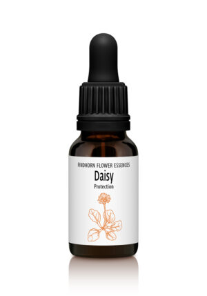 Daisy - PROTECTION