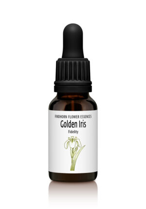 Golden Iris - AUTHENTICITY