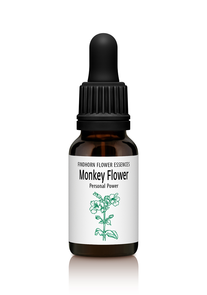 Monkey Flower - BOUNDARIES