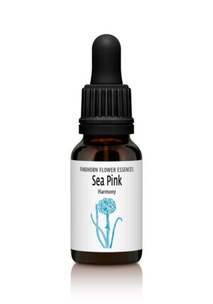 Sea Pink - HARMONY