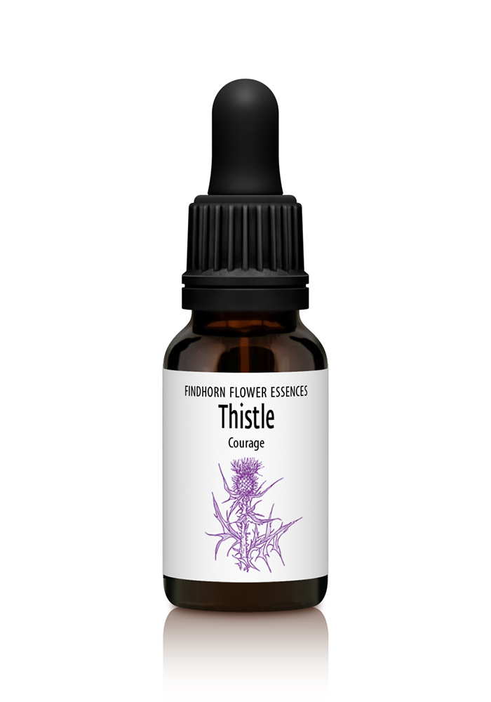 Thistle - COURAGE