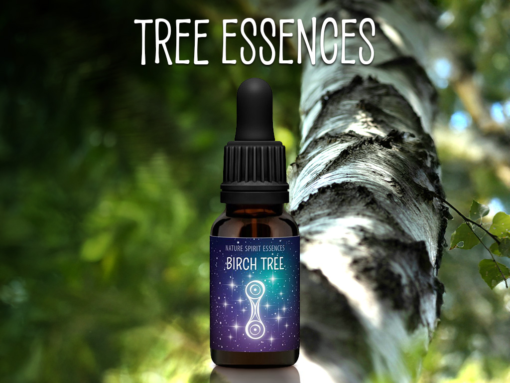 Your Tree Essence Kit - 7 Tree Essences - Image 2