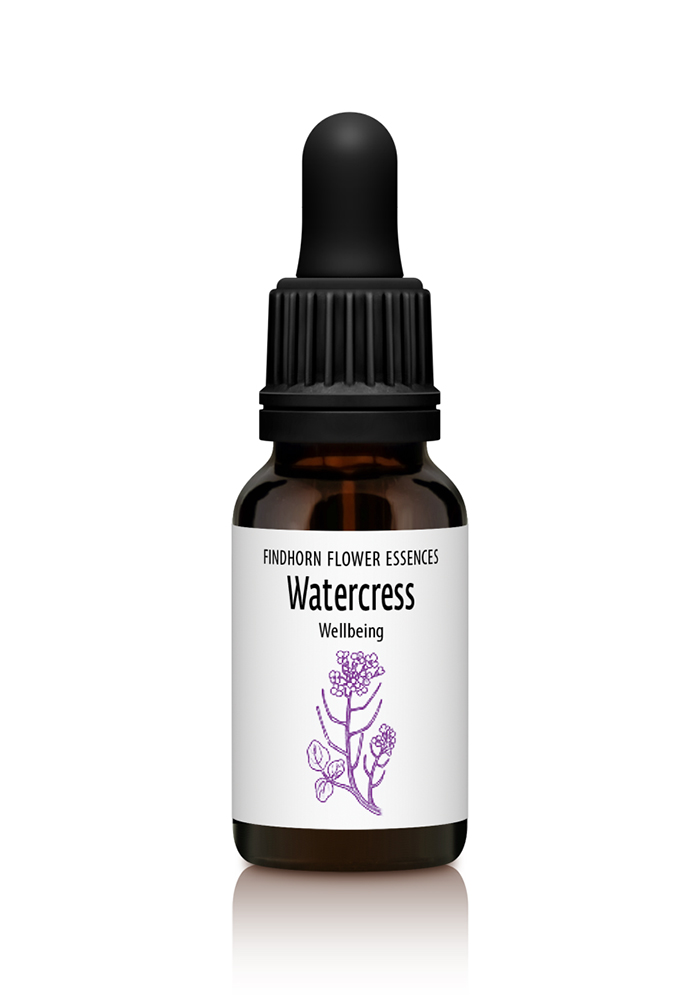 Watercress - WELLBEING