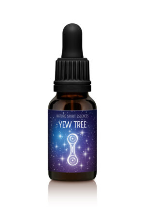 Yew Tree - EMERGENCE